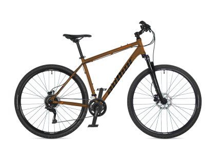 ua42969201 vertigo