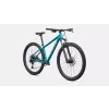 91827 54 ROCKHOPPER COMP KH TLTNTAL AGVE M 29 FDSQ